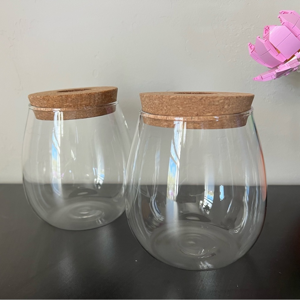 Glass Propagation Jars with Cork Lids